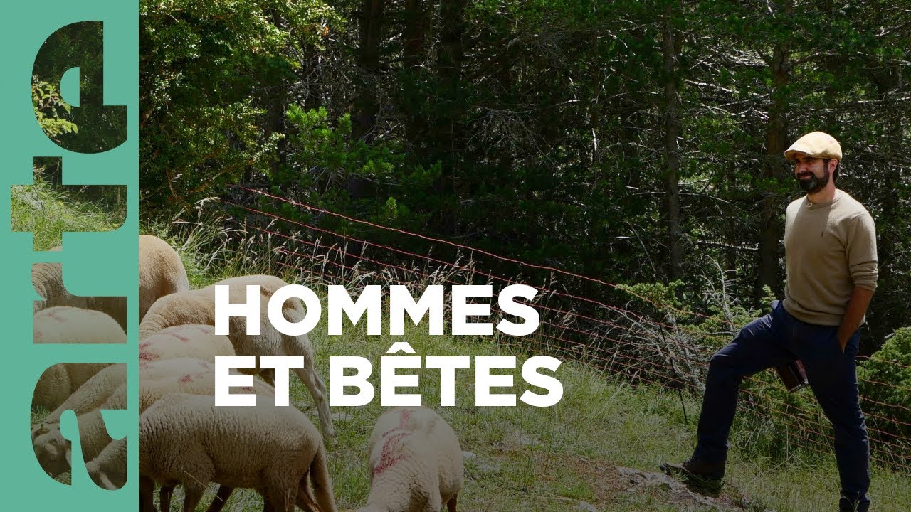 Andorre | L'Europe dans tous ses (petits) États |