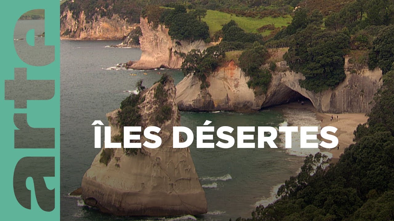 Au royaume des Kaoris | La Nouvelle-Zélande, un paradis sur terre