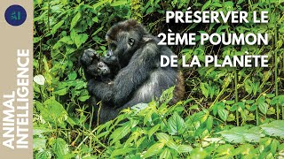 Avec les Pygmées pour sauver la forêt tropicale du Congo