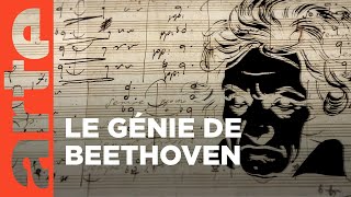 Documentaire Beethoven intime