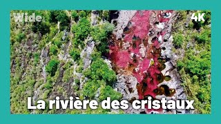 Documentaire Caño Cristales : un bijou de la nature