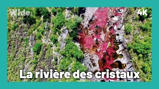 Caño Cristales : un bijou de la nature