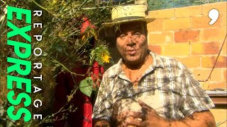 Documentaire Comment protéger ses plantes du froid