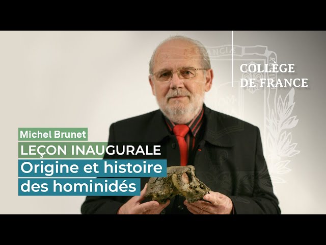 Documentaire Origine et histoire des hominidés. Nouveaux paradigmes