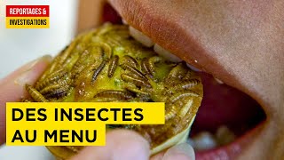 Entomophagie : une solution alimentaire durable pour combattre la faim dans le monde ?