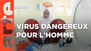 Épidémies : la menace invisible