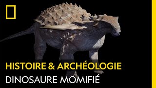 Examen d’un fossile de dinosaure parfaitement momifié