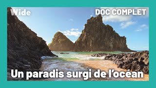 Fernando de Noronha : l'île rebelle
