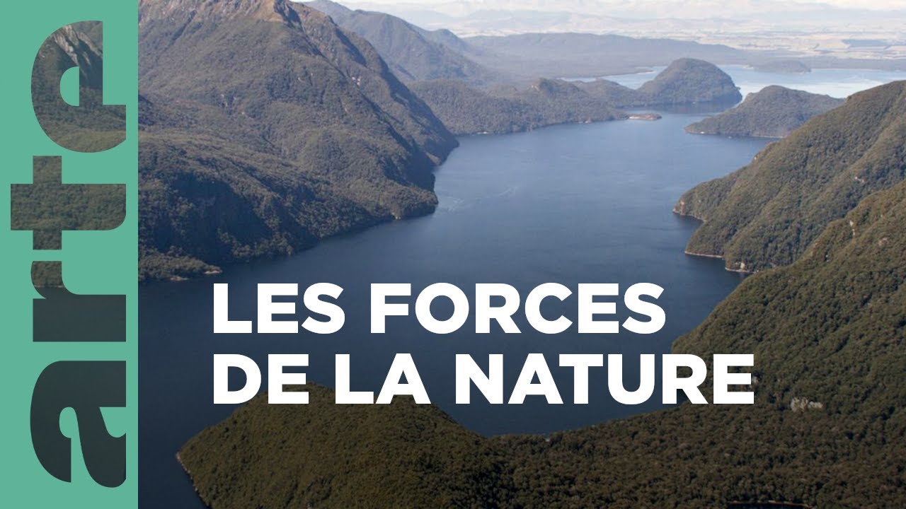 Documentaire Fjords et forêts tropicales | La Nouvelle-Zélande, un paradis sur terre