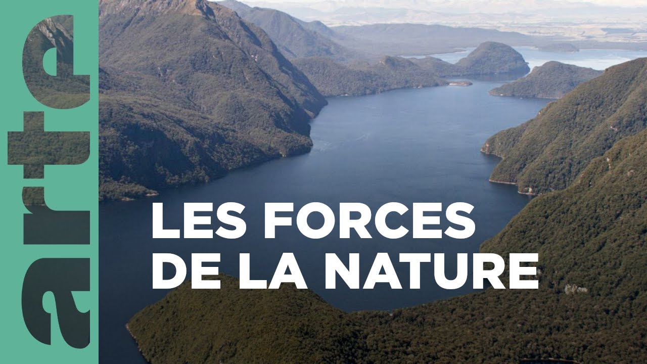 Fjords et forêts tropicales | La Nouvelle-Zélande, un paradis sur terre