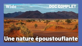La pureté des paysages de Namibie