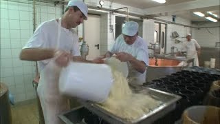 Documentaire La fabrication du fromage, un vrai travail d’alchimiste