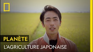 Documentaire La vie paisible et ensoleillée d’un agriculteur japonais