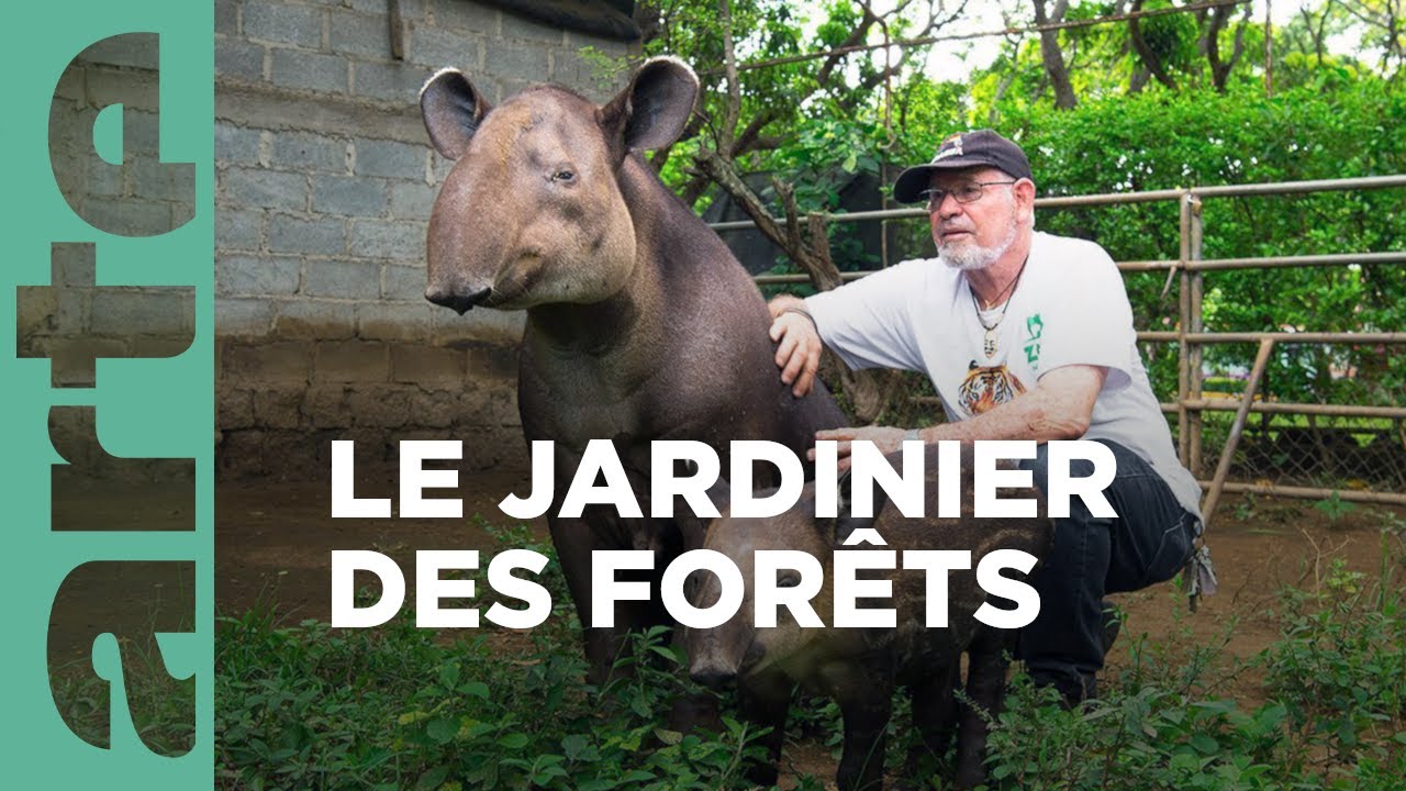Documentaire Le Tapir