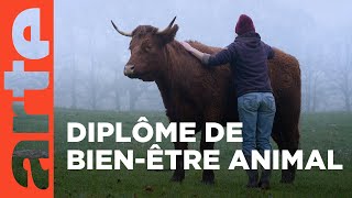 Documentaire Le bien-être animal, un nouveau métier ?