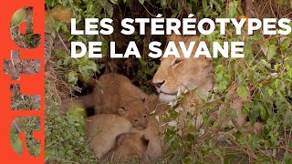 Documentaire Le goût de la savane