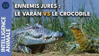 Le seul animal que les crocodiles craignent