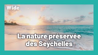 Documentaire Les Seychelles : un joyau naturel