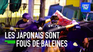 Les japonais sont obsédés par... les baleines