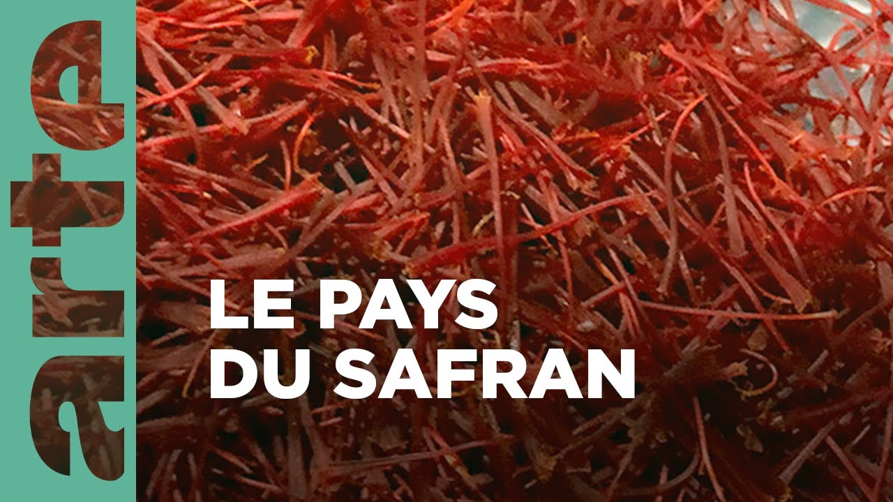 Les plats typiques d'Iran | Cuisines des terroirs