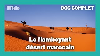 Documentaire Les scènes majestueuses du désert marocain