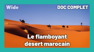 Les scènes majestueuses du désert marocain
