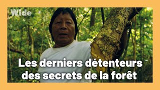 Les trésors cachés de la forêt guyanaise