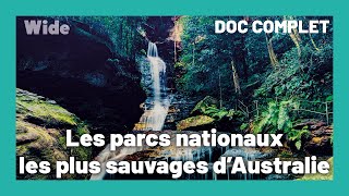 L'île Fraser : la côte majestueuse de l'Australie