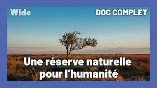 Documentaire Madagascar : un sanctuaire de vie sauvage