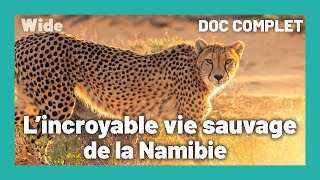 Documentaire Namibie: Une nature sauvage et époustouflante