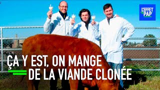 Documentaire Nous mangeons actuellement de la viande clonée