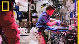 Quel genre d'expériences mène-t-on à bord de l'ISS ?