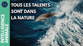 Documentaire Qui sont les animaux champions de leur catégorie ?