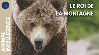 Rencontre avec un fervent défenseur des ours