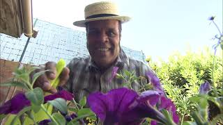 Documentaire Sauver ses plantes au retour de vacances