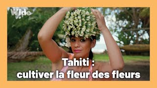 Documentaire Tiaré : le trésor floral de Tahiti