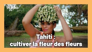 Tiaré : le trésor floral de Tahiti