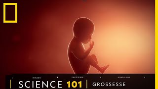 Documentaire Tout comprendre sur la grossesse