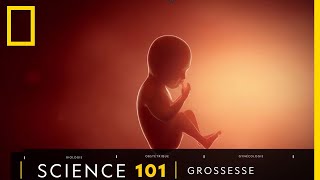 Tout comprendre sur la grossesse
