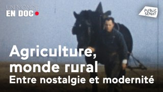 Agriculture, monde rural, entre nostalgie et la modernité