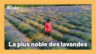 Un patrimoine français en danger