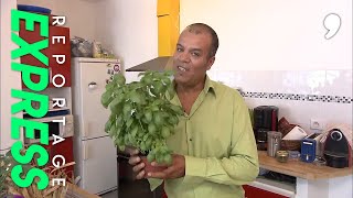 Documentaire Un potager dans mon salon