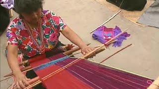 Zinacanthèques, les marchands de couleurs
