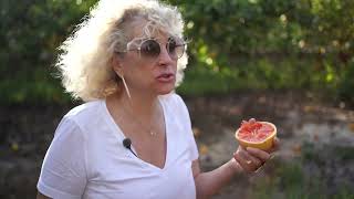 Cette française séduit Miami avec ses confitures