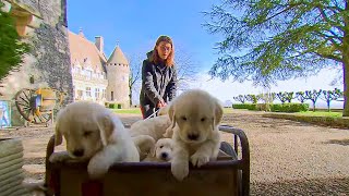 Documentaire Chiots et chatons, trois mois pour devenir grand