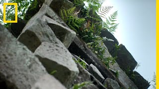 Documentaire Comment la cité de Nan Madol, prouesse architecturale, a-t-elle été construite ?