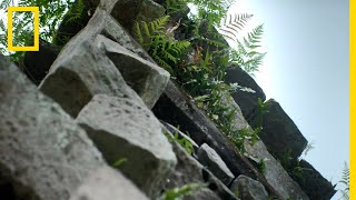 Comment la cité de Nan Madol, prouesse architecturale, a-t-elle été construite ?
