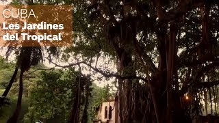 Documentaire Cuba – Les jardines del Tropical