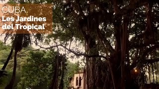 Cuba - Les jardines del Tropical