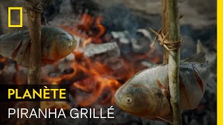 En Amérique du Sud, on peut manger du piranha grillé au feu de bois